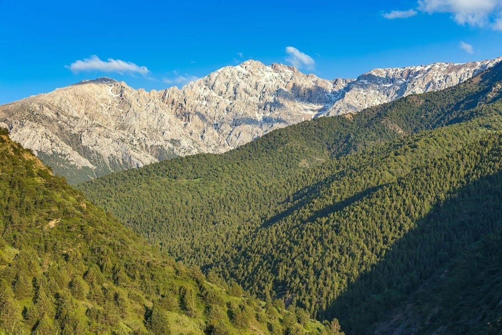 Sinegorye — 1 Day Mountain Hiking Tour from Tashkent — photo 3 of 4
