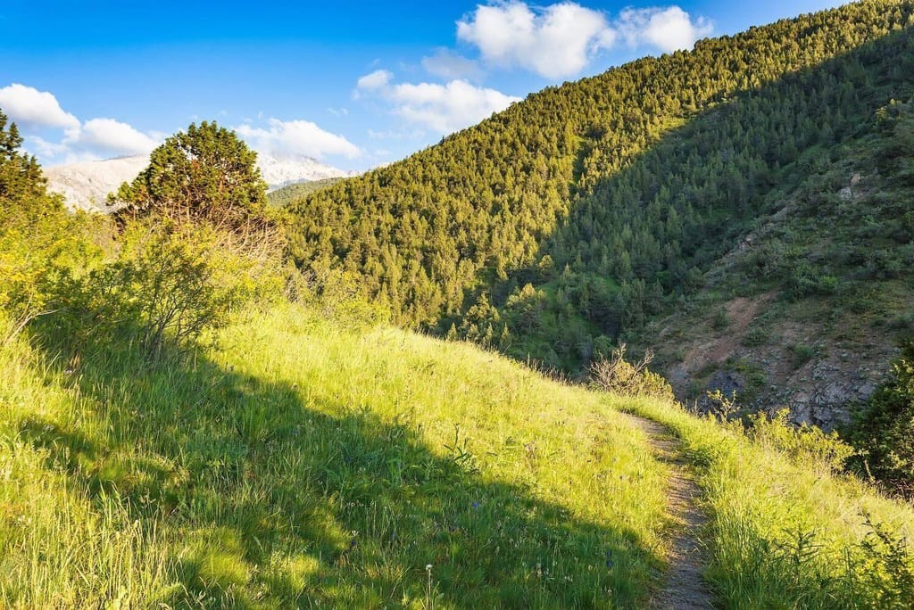 Sinegorye — 1 Day Mountain Hiking Tour from Tashkent — photo 4 of 4