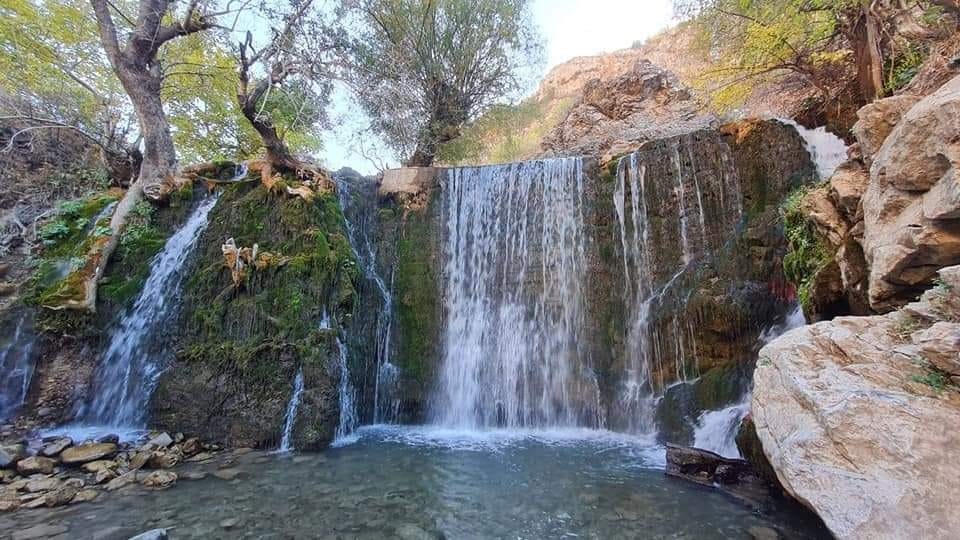 Charvak Lake Tour — 1 Day Trip from Tashkent — photo 4 of 6