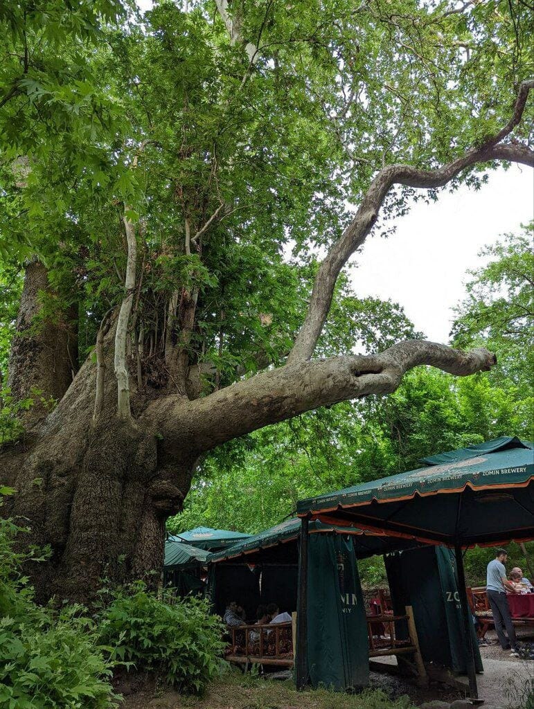 Charvak Lake Tour — 1 Day Trip from Tashkent — photo 5 of 6
