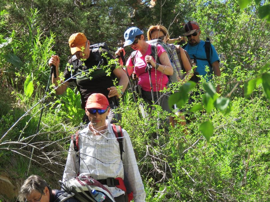 Восхождение на Малый Чимган — 1 день из Ташкента — photo 2 of 4