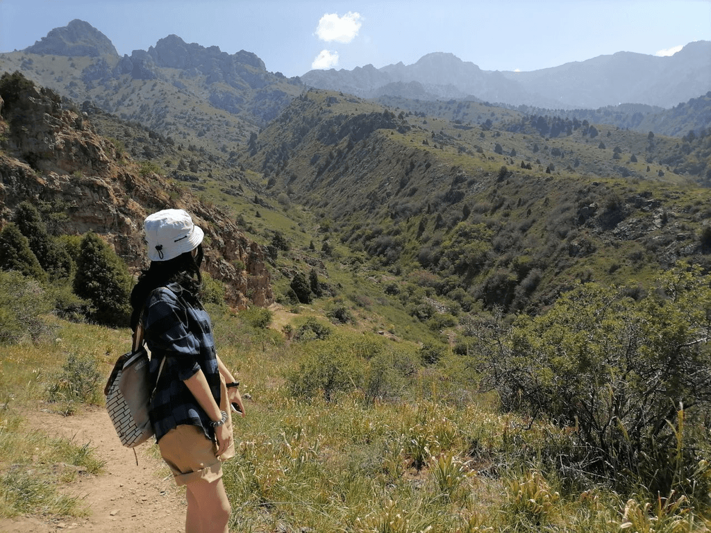 Sukok o‘rmoni — 1 kunlik sayohat (Toshkentdan) — photo 2 of 4