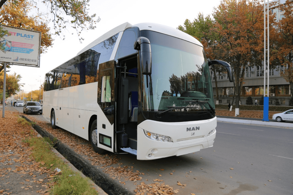 Sukok o‘rmoni — 1 kunlik sayohat (Toshkentdan) — photo 4 of 4