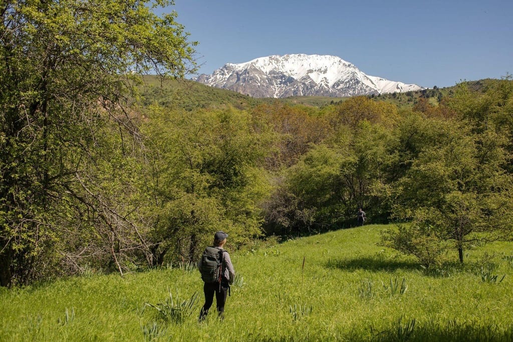 Узбекские Альпы — Лашкерек (поход на 1 день из Ташкента) — photo 2 of 6